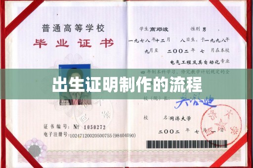 紫金出生证明制作的流程