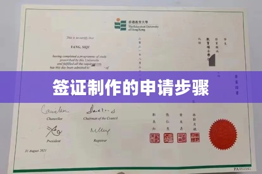 紫金签证制作的申请步骤