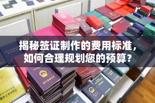 紫金揭秘签证制作的费用标准，如何合理规划您的预算？