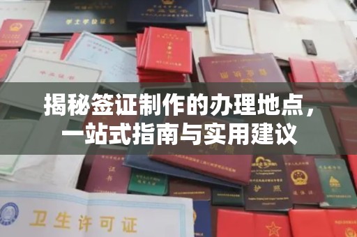 紫金揭秘签证制作的办理地点，一站式指南与实用建议