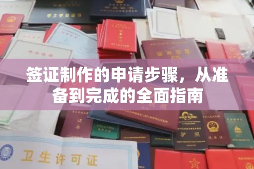 紫金签证制作的申请步骤，从准备到完成的全面指南
