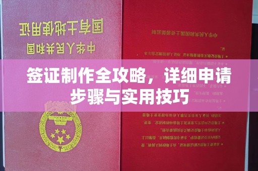 紫金签证制作全攻略，详细申请步骤与实用技巧