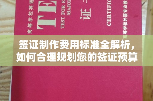 紫金签证制作费用标准全解析，如何合理规划您的签证预算？